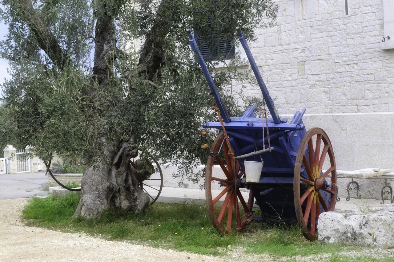 Tenuta Lama Gorga Трани Экстерьер фото